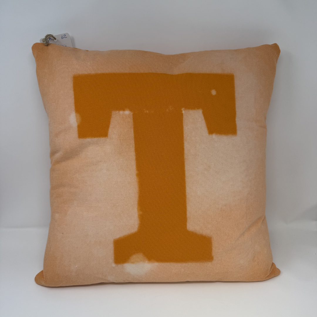 Tennessee Throw Pillows