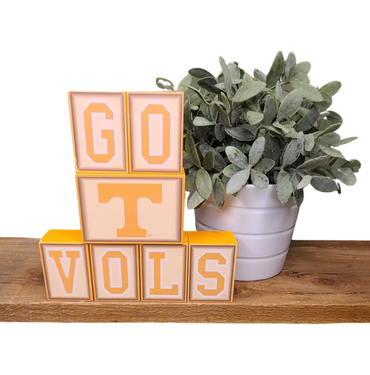 Go T Vols Decorative Blocks