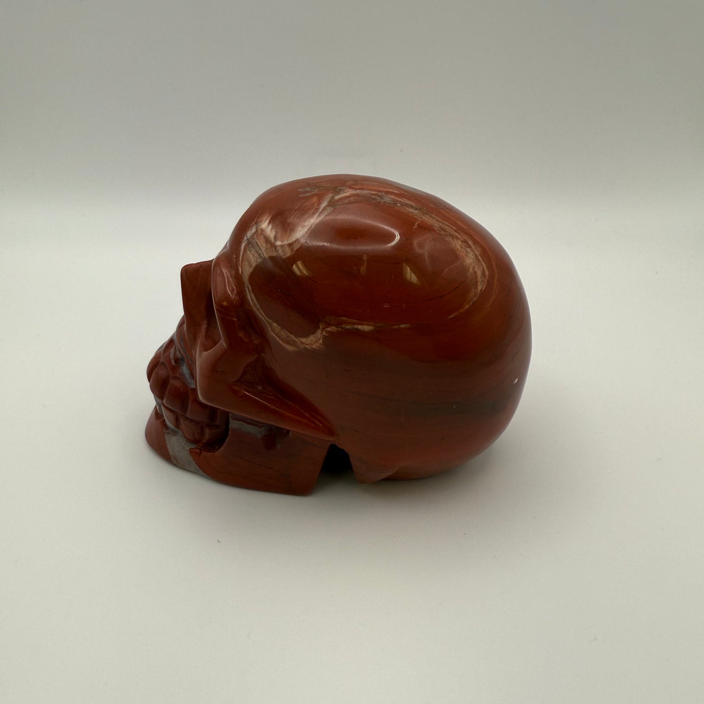 Brecciated Casper Skull