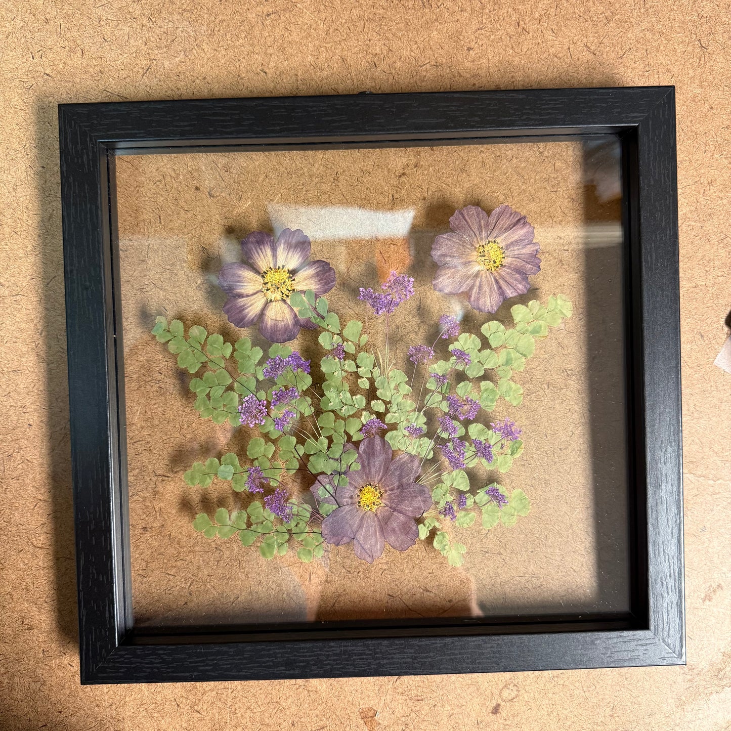 Framed Pressed Flowers