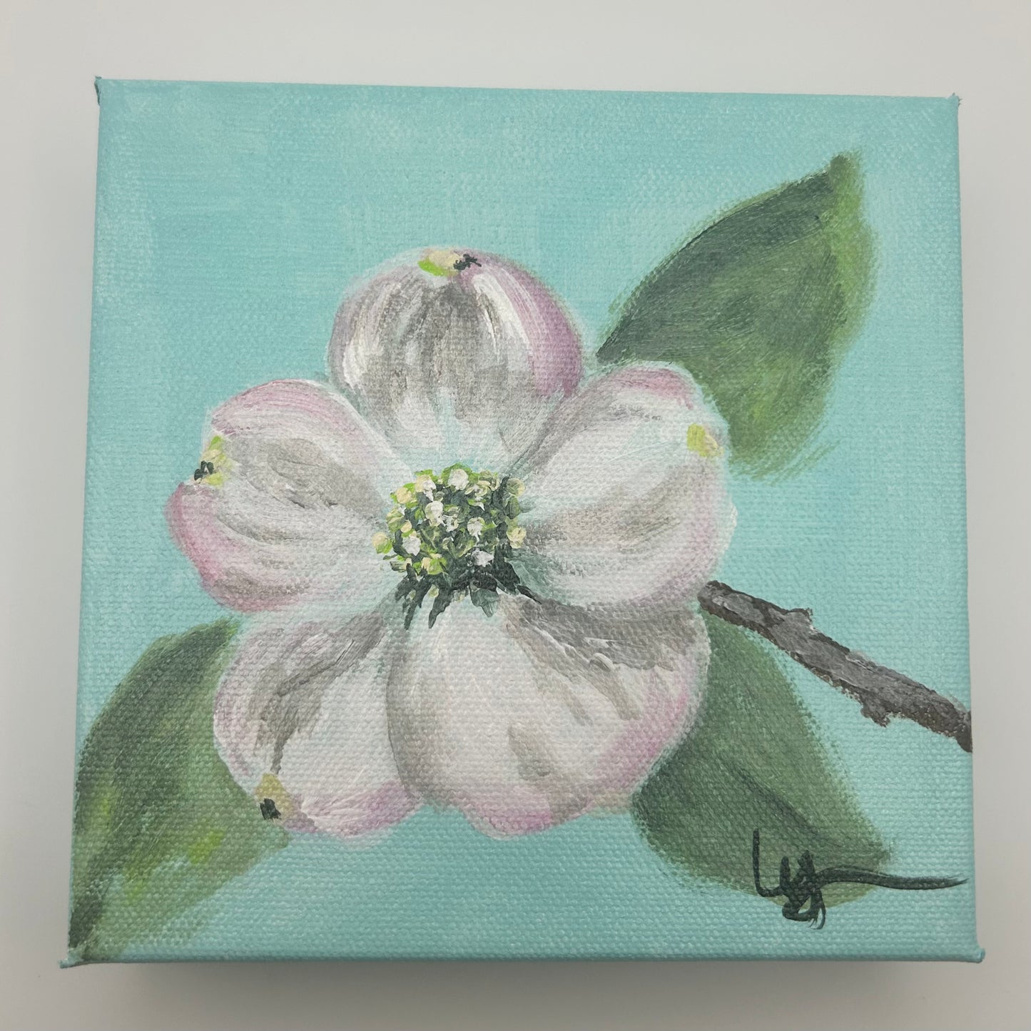 Dogwood Flower Painting 6x6