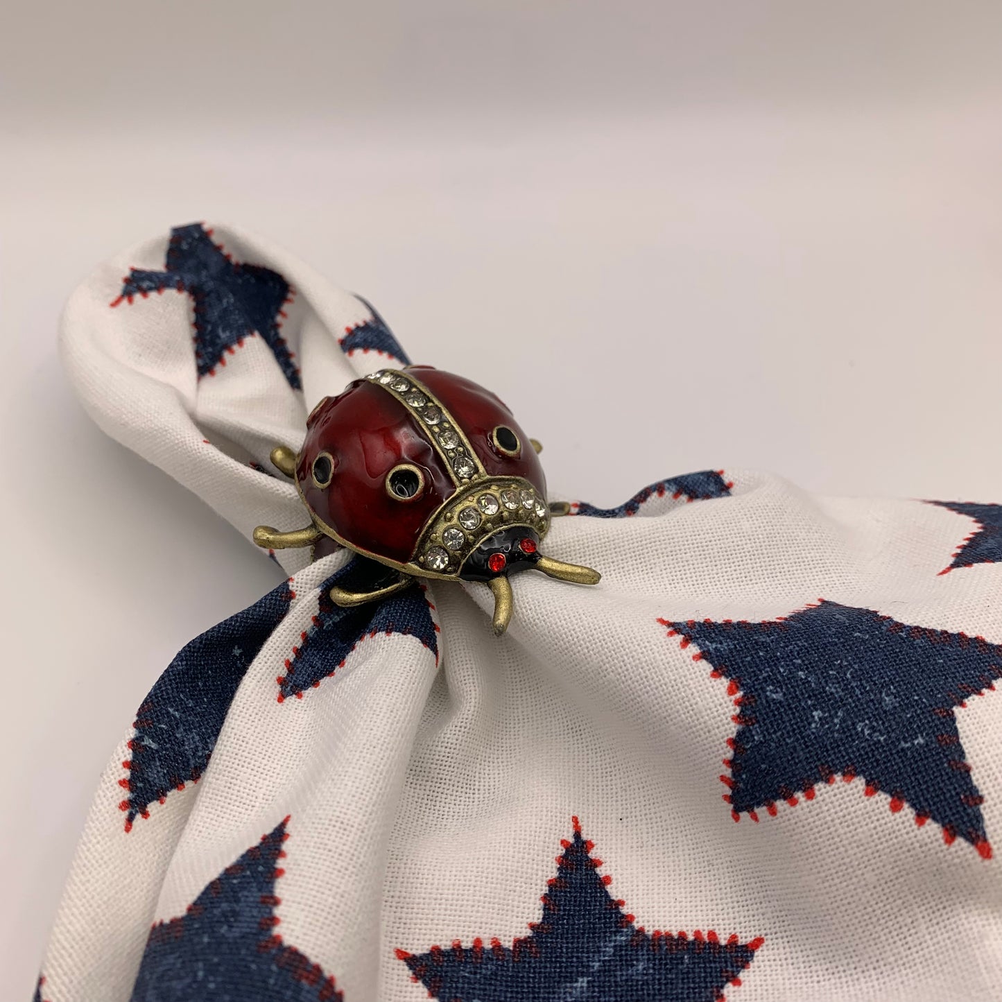 Ladybug Napkin Holders