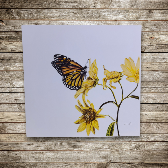 Monarch and Daisies Art Print