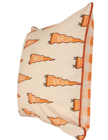 Tennessee Pennant Gingham Pillow