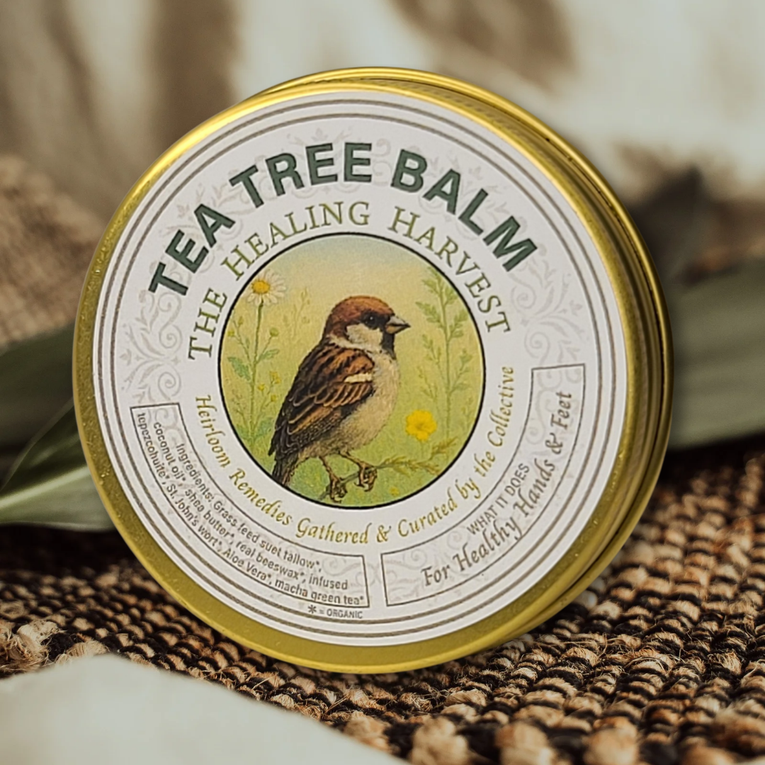 Healing Harvest Tallow Products