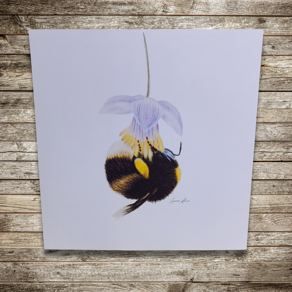 Pollinator Bee Art Print