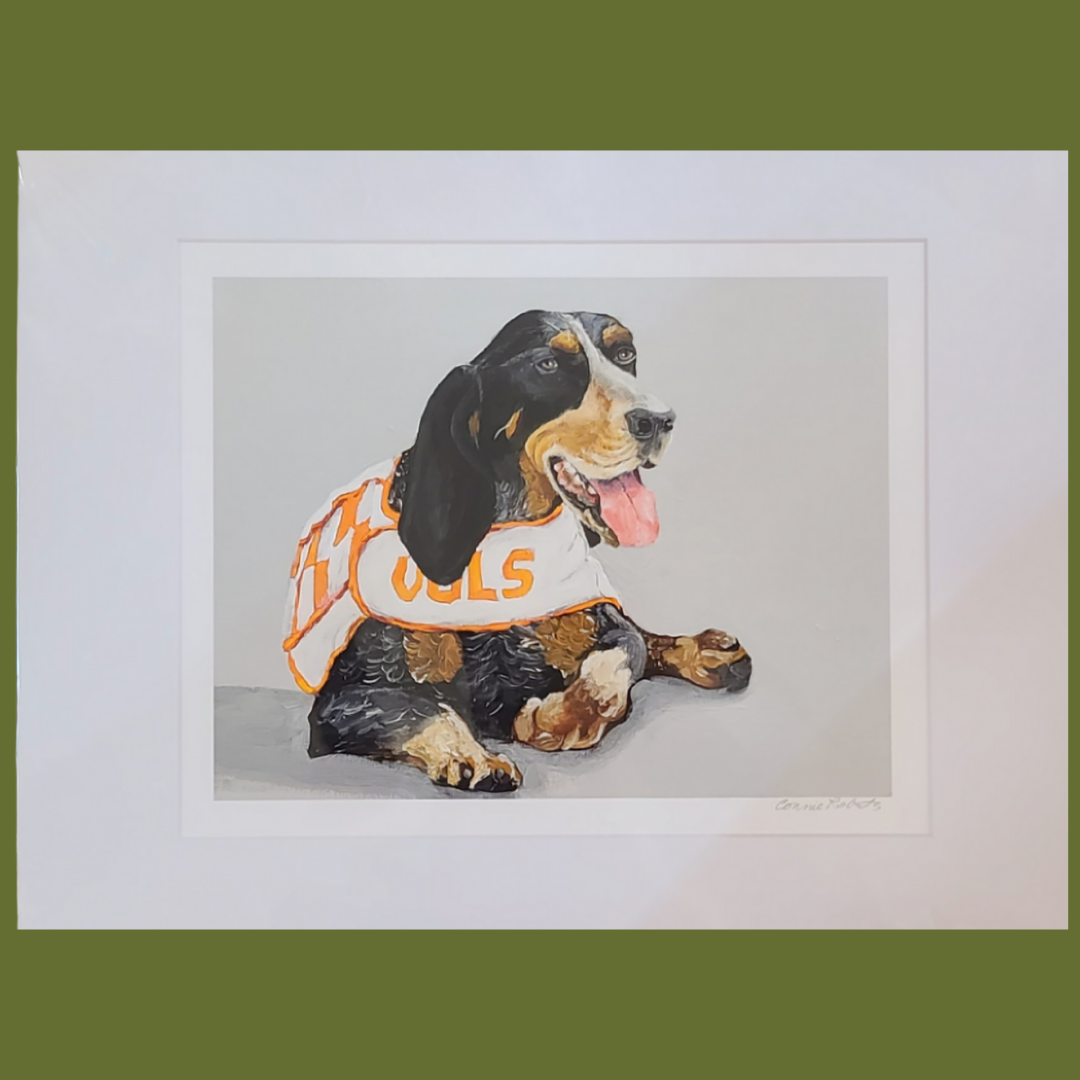 Vols Mascot 'Smokey' Wall Art