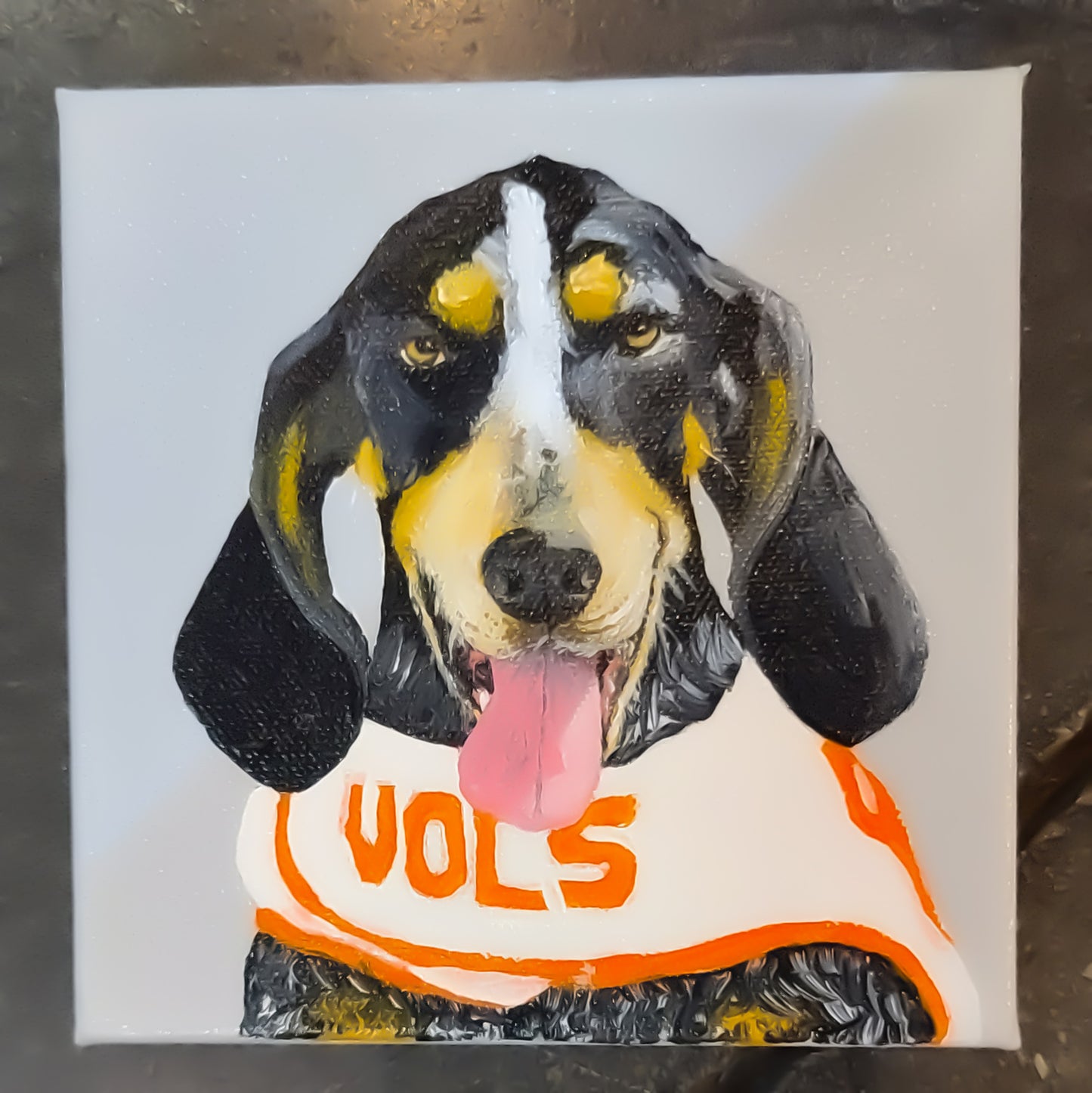 Vols Mascot Smokey Canvas Art