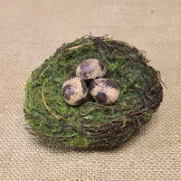 Small Bird Nest With Eggs