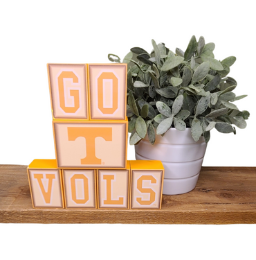 Go  T Vols Decorative Blocks