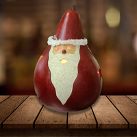 Holiday Gourd - Santa