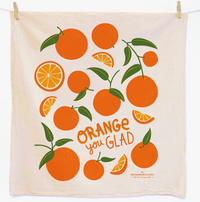 Orange Dish Towel + Reusable Sponge Gift Set