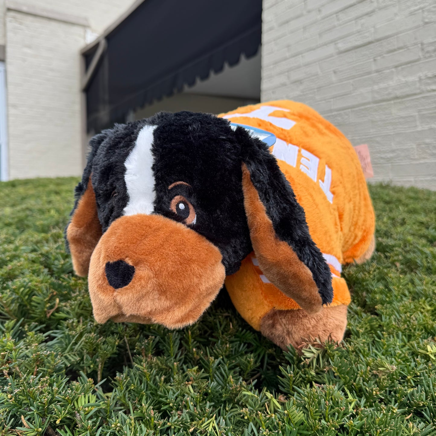 Tennessee Smokey Pillow Pet