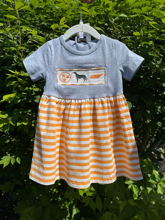Baby Grey and Orange Tennessee Dress
