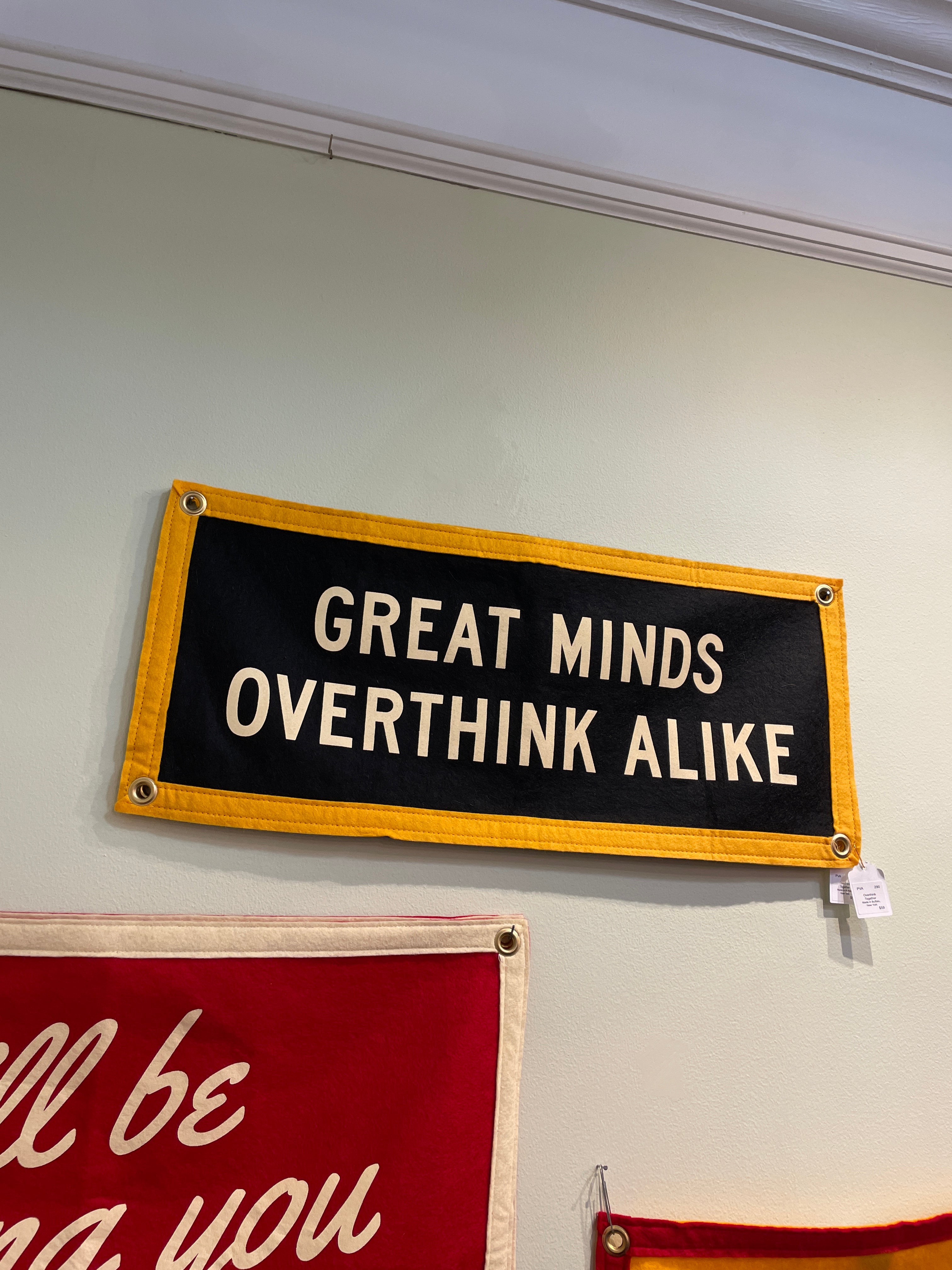 Great Minds Overthink Alike Flag