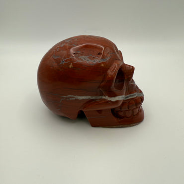 Brecciated Casper Skull
