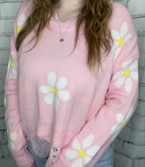Pink Daisy Cropped Sweater