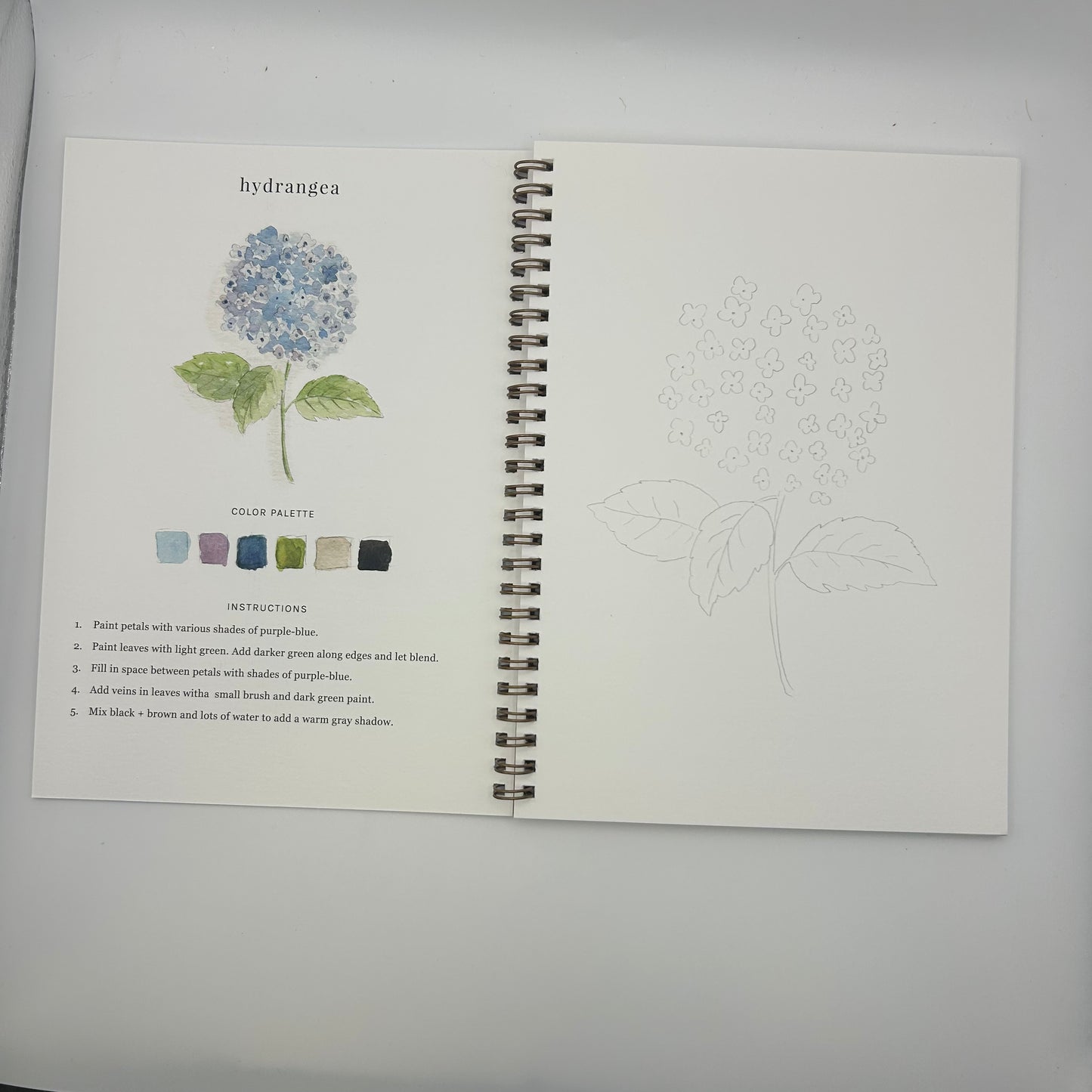 Watercolor Workbook: Paint Your Own Flowers