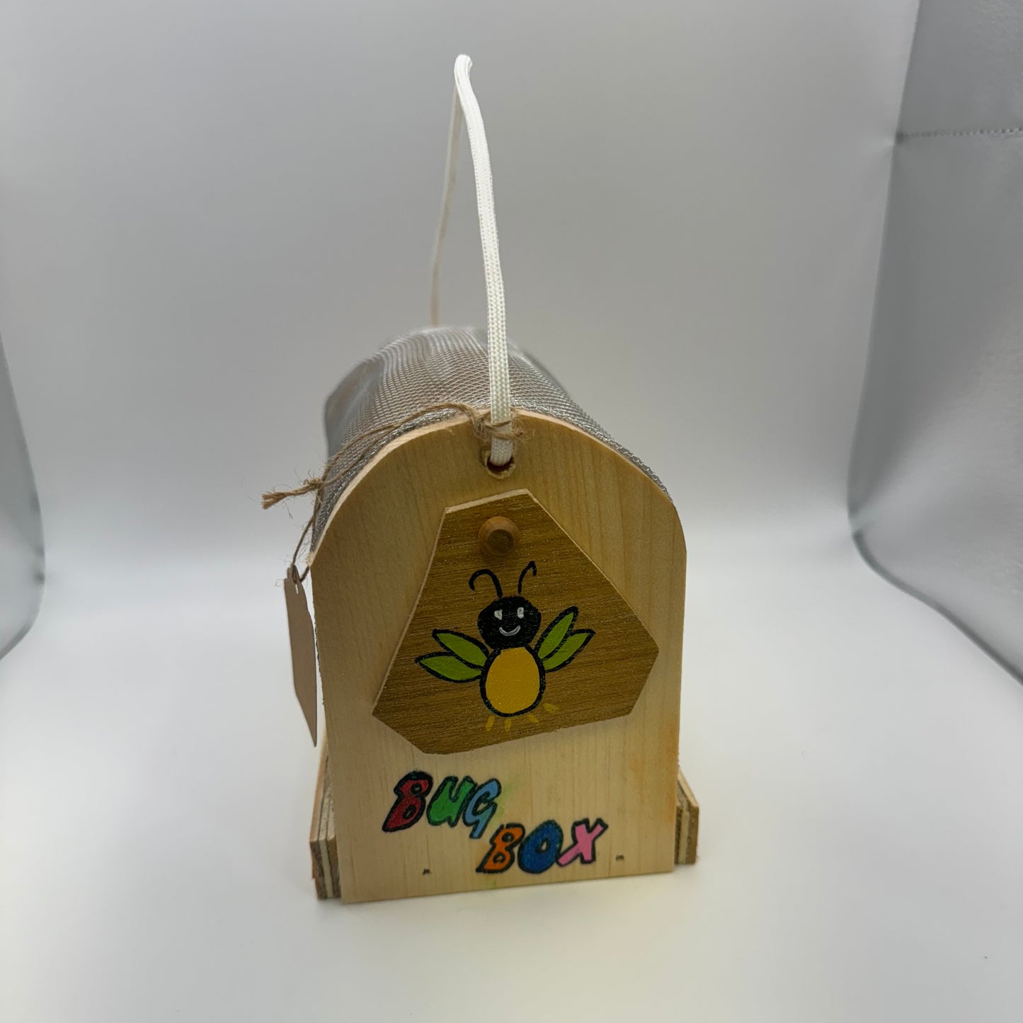 Children's Bug Boxes