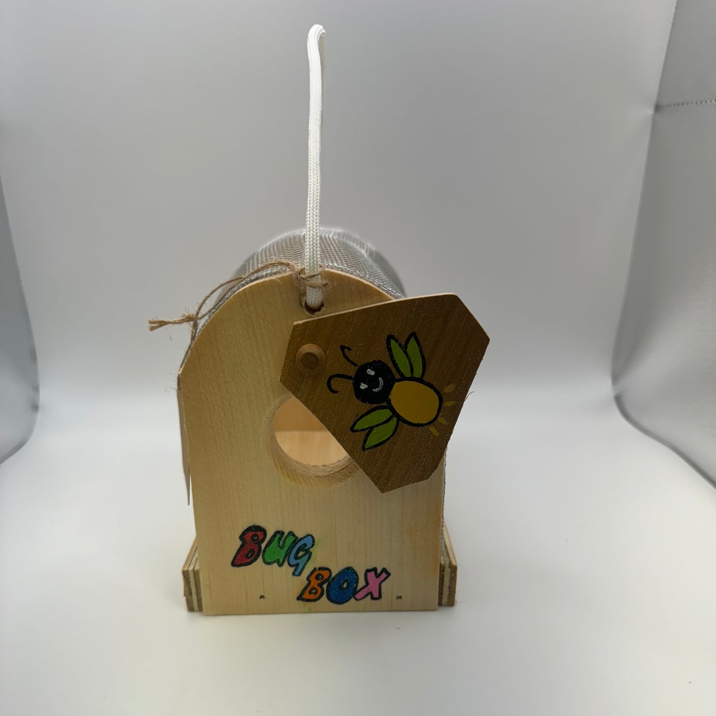 Children's Bug Boxes