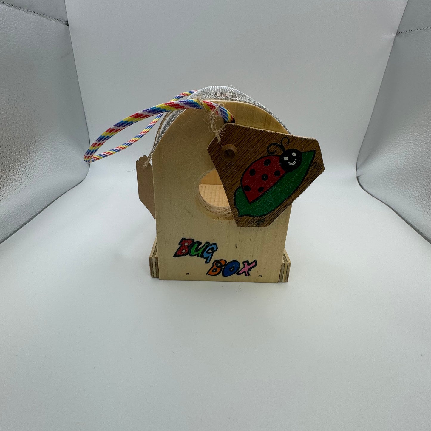 Children's Bug Boxes