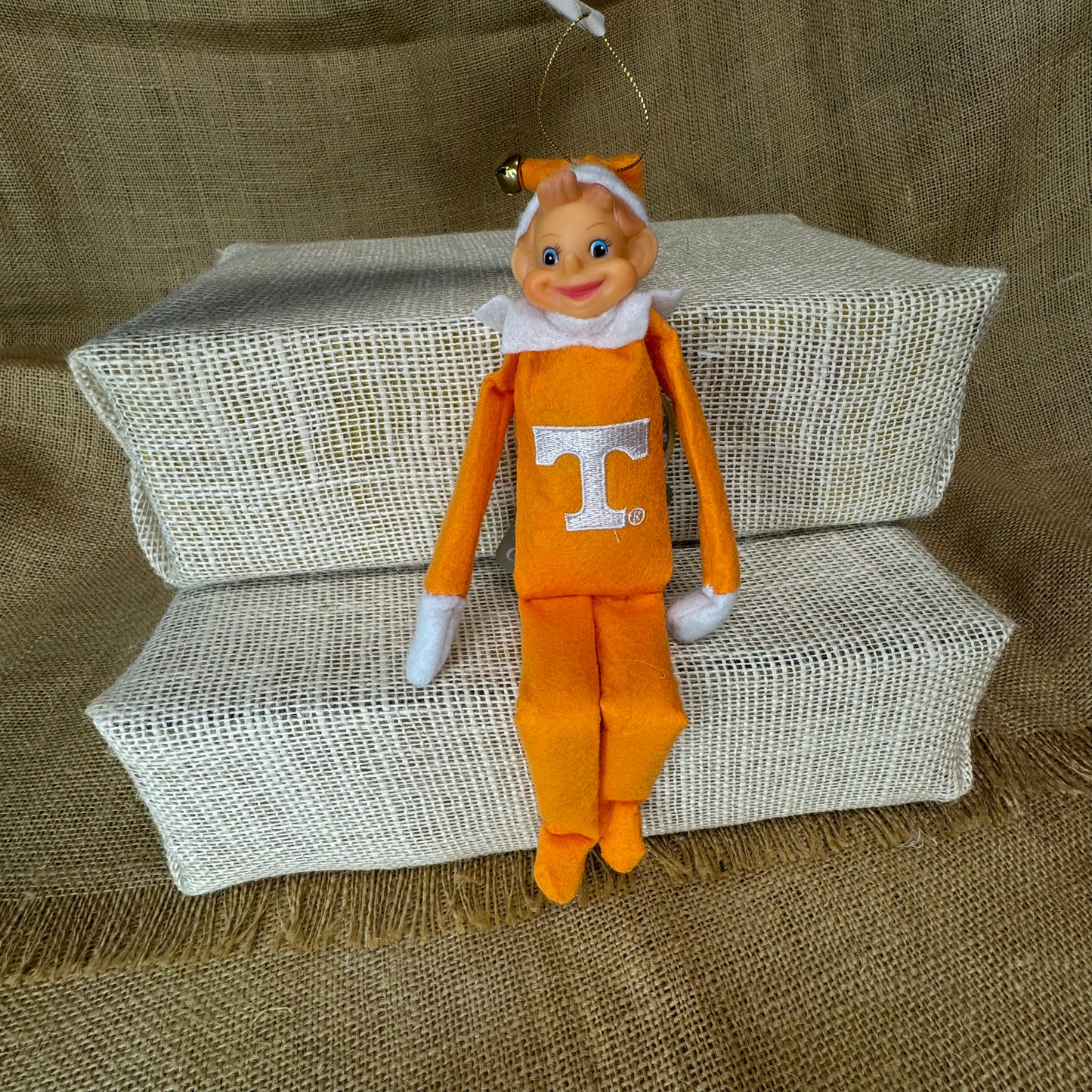 Tennessee Elf on the Shelf