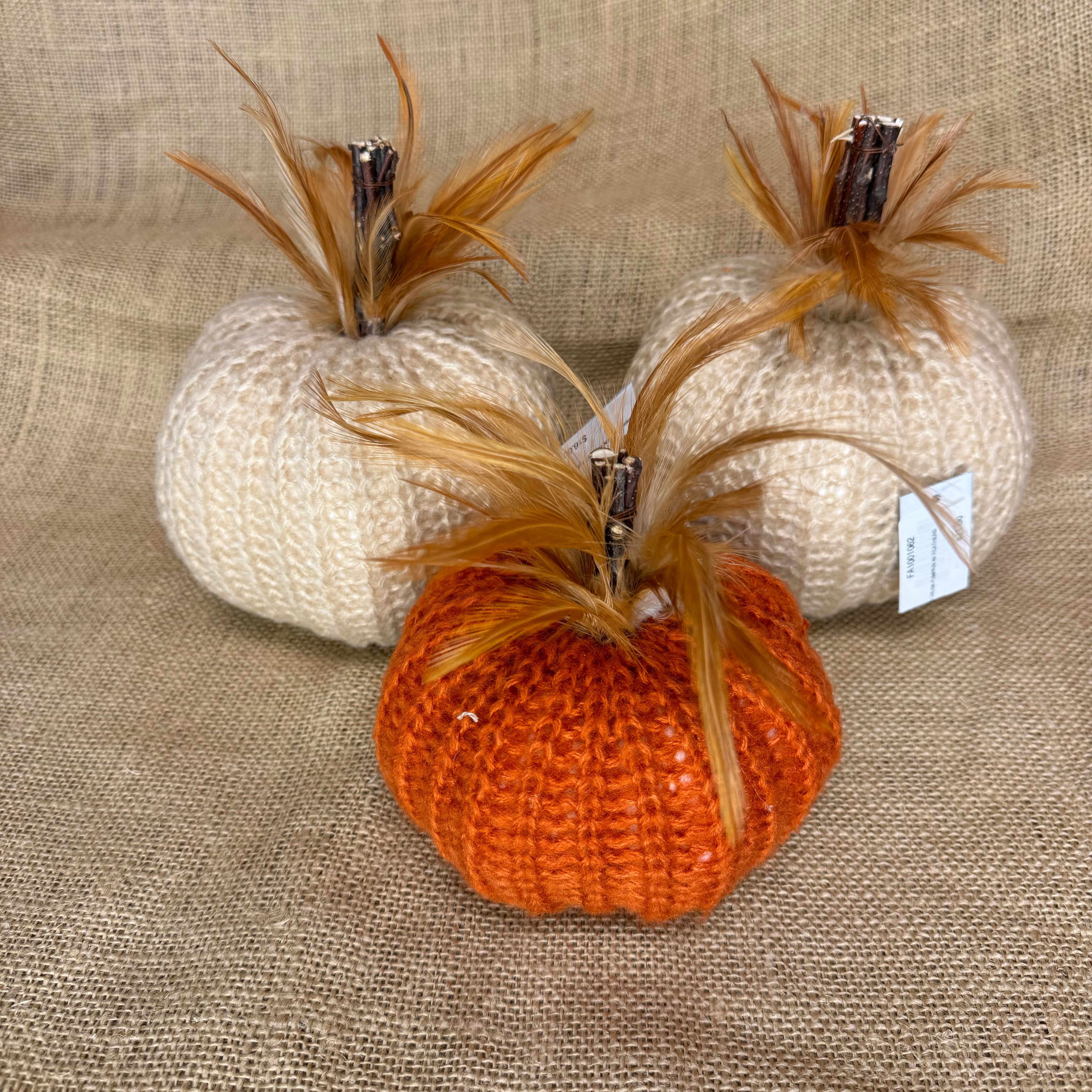 Decorative Pumpkins with Feathers