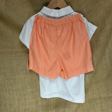 Little Boys Shirt and Shorts Set