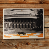 Neyland Stadium Wall Hanging