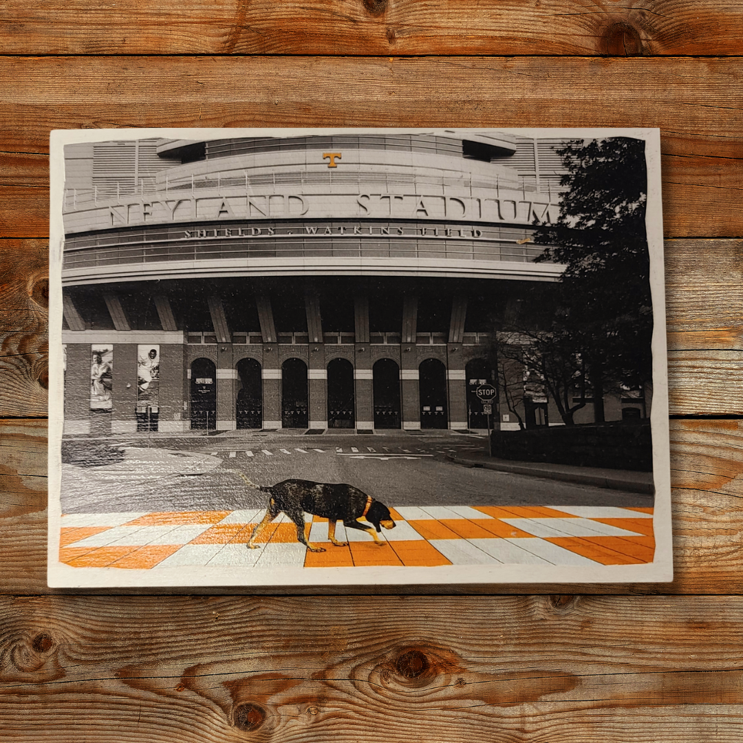 Neyland Stadium Wall Hanging