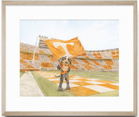 University of Tennessee Smokey Art Print