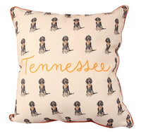 Tennessee Smokey Gingham Pillow