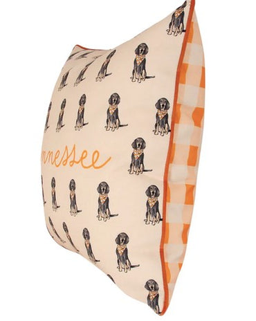 Tennessee Smokey Gingham Pillow