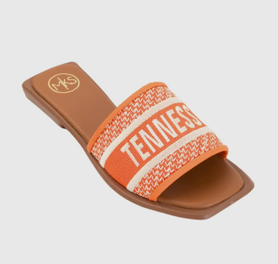 *SALE* Tennessee Orange Slides