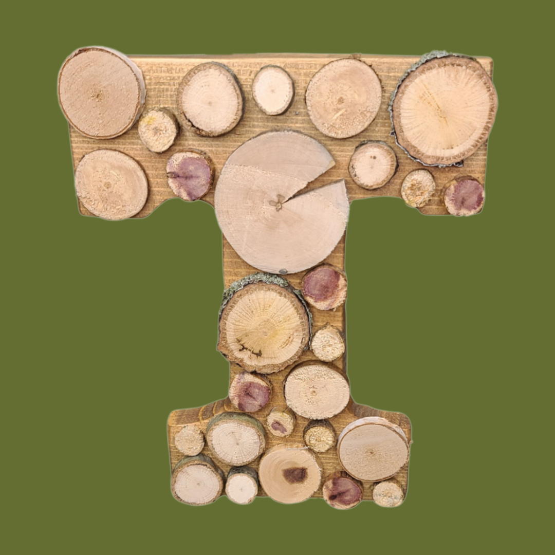 Wood Rounds Power T Wall Hanger