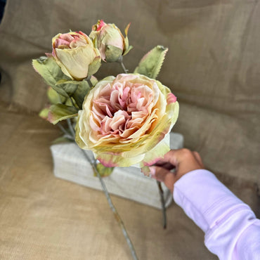 Decorative Pink and Green Dried Rose Bud