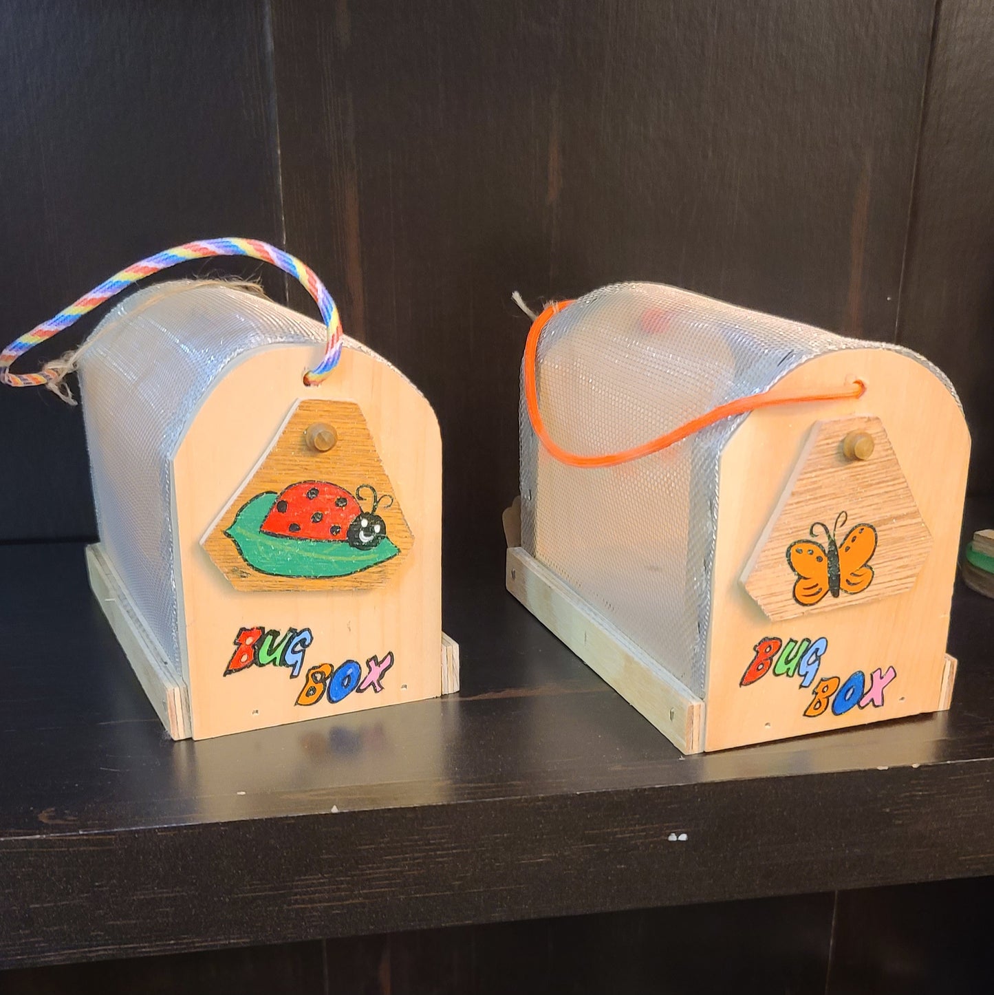 Children's Bug Boxes