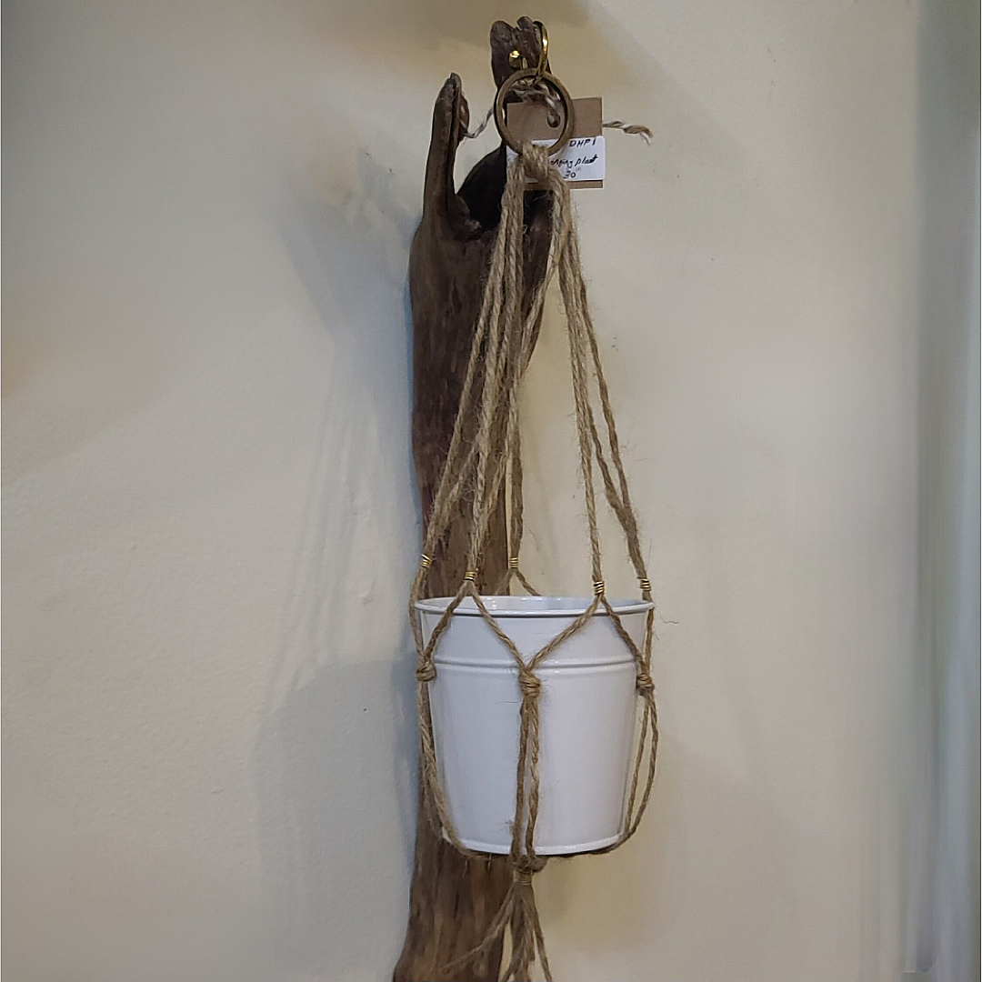 Driftwood Hanging Planter