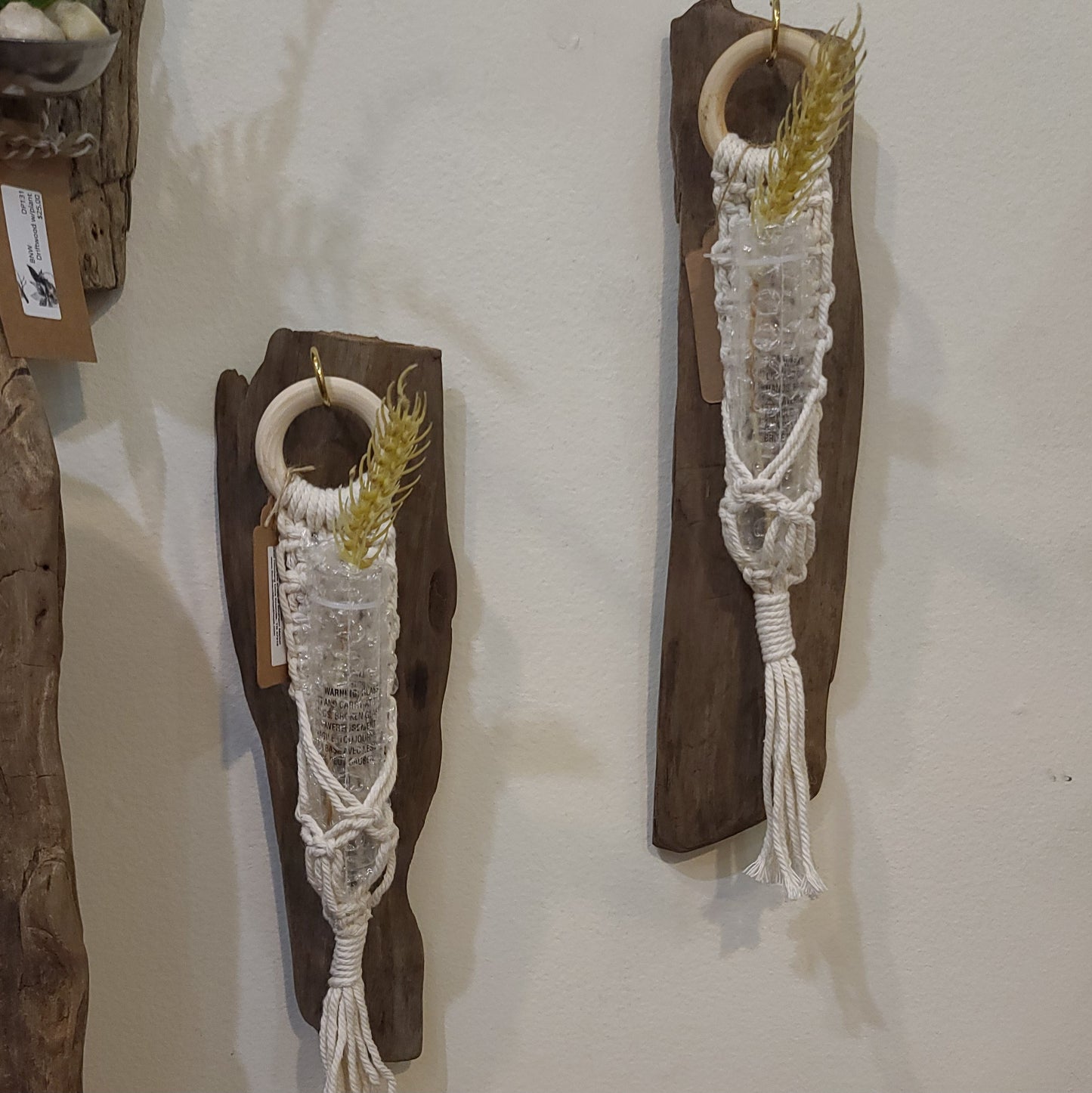 Driftwood Propagating Hangers