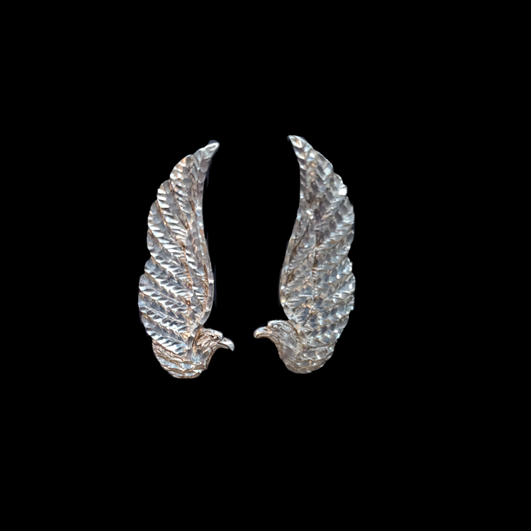 Native American Earrings