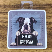 Funny Waterproof Vinyl Stickers