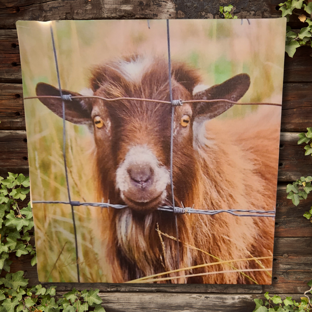 Goat Canvas Wall Hanging