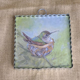 Robin and Hummingbird Bird Art