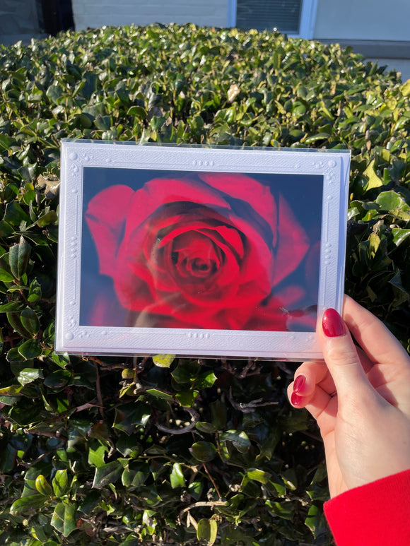 Single Rose Photography Print Card