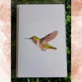 Lauren Kline "Birds & Bees" Art Prints Greeting and Note Cards