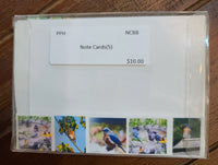 Set Of Notecards For Bird Lovers