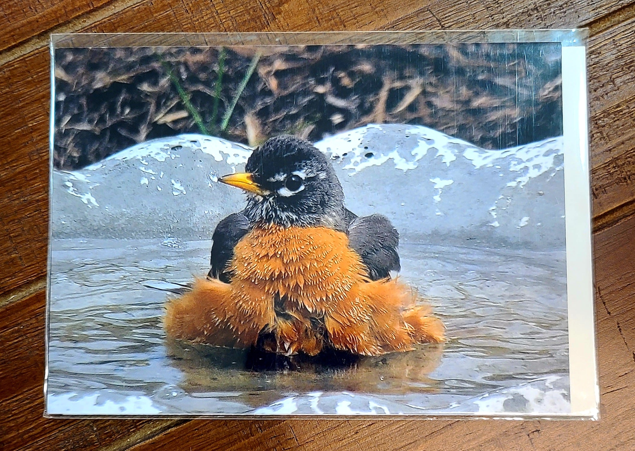 "The Soak" Robin Taking a Bath