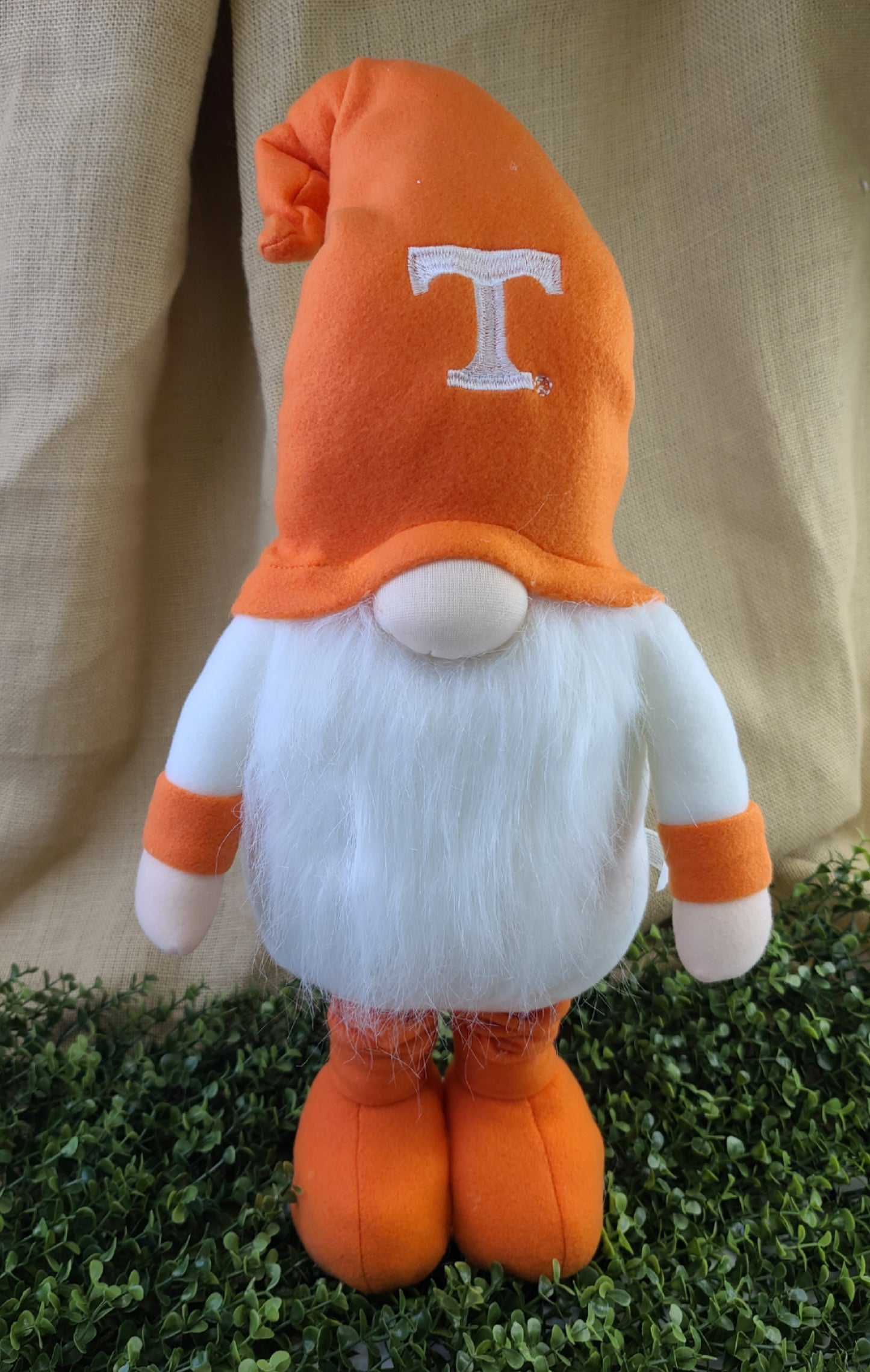 TN Volunteers Gnome