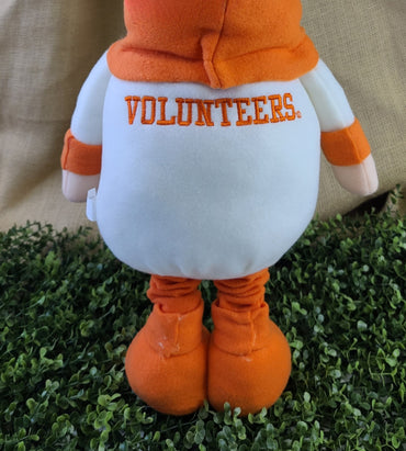 TN Volunteers Gnome