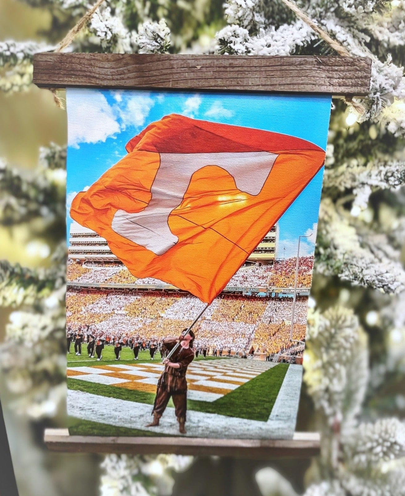 Vols Power T Hanging Canvas